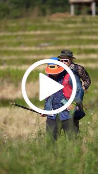 BIB:  <button type="button" onclick="openModal(26787049)" class="btn btn-primary btn-sm float-right" data-toggle="modal" data-target=".modal-high-quality">
                <i class="fa fa-download"></i> Download
                </button>